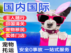 昭通航空托运国际宠物托运 【国